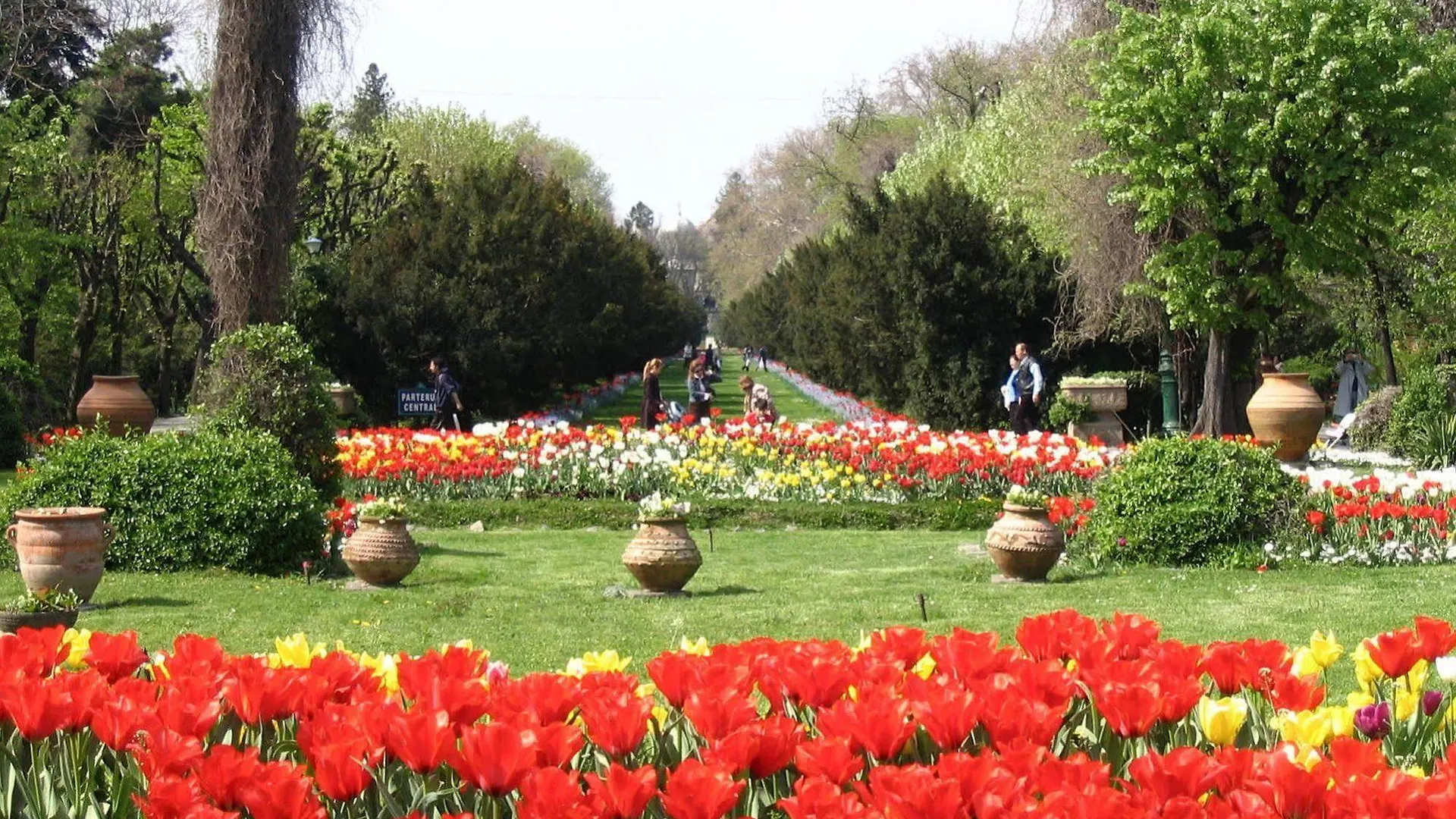 Central Park View Apartments Bucharest